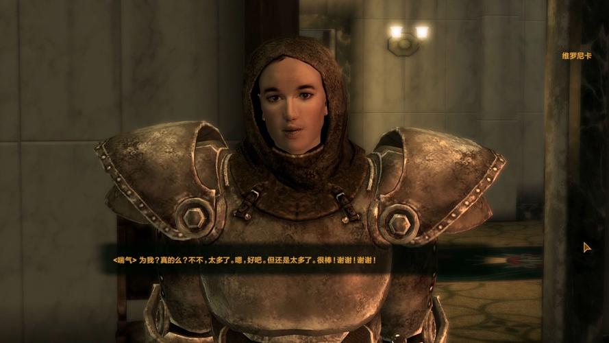 维加斯游戏：辐射新维加斯深度体验与攻略