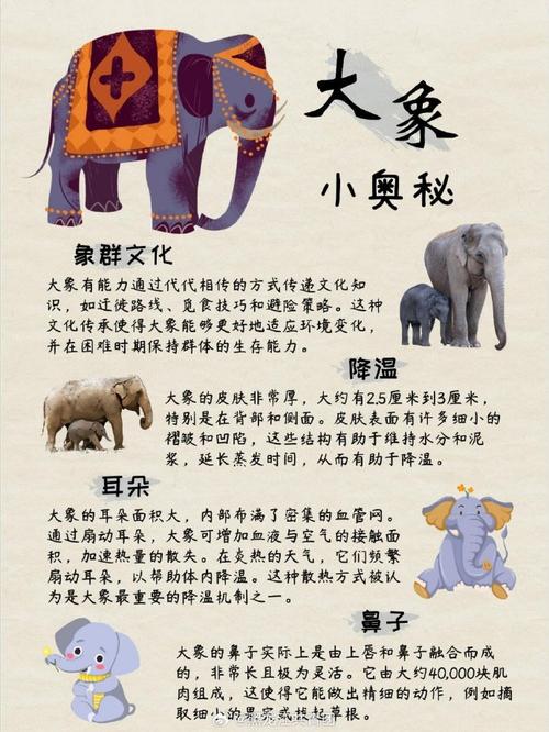 揭秘大象家族：谁是象群中真正的领导者？