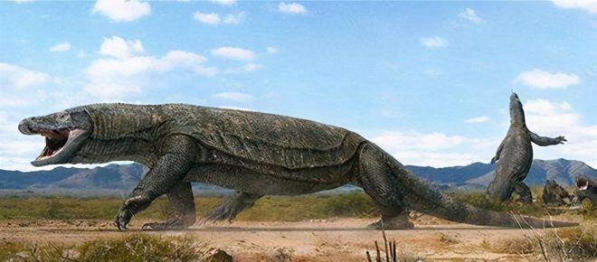 史前巨蜥古巨蜥：七米巨兽，统治澳洲大陆