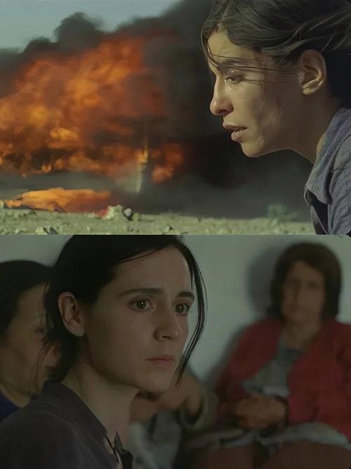 焦土之地:一部关于重建与复苏的史诗