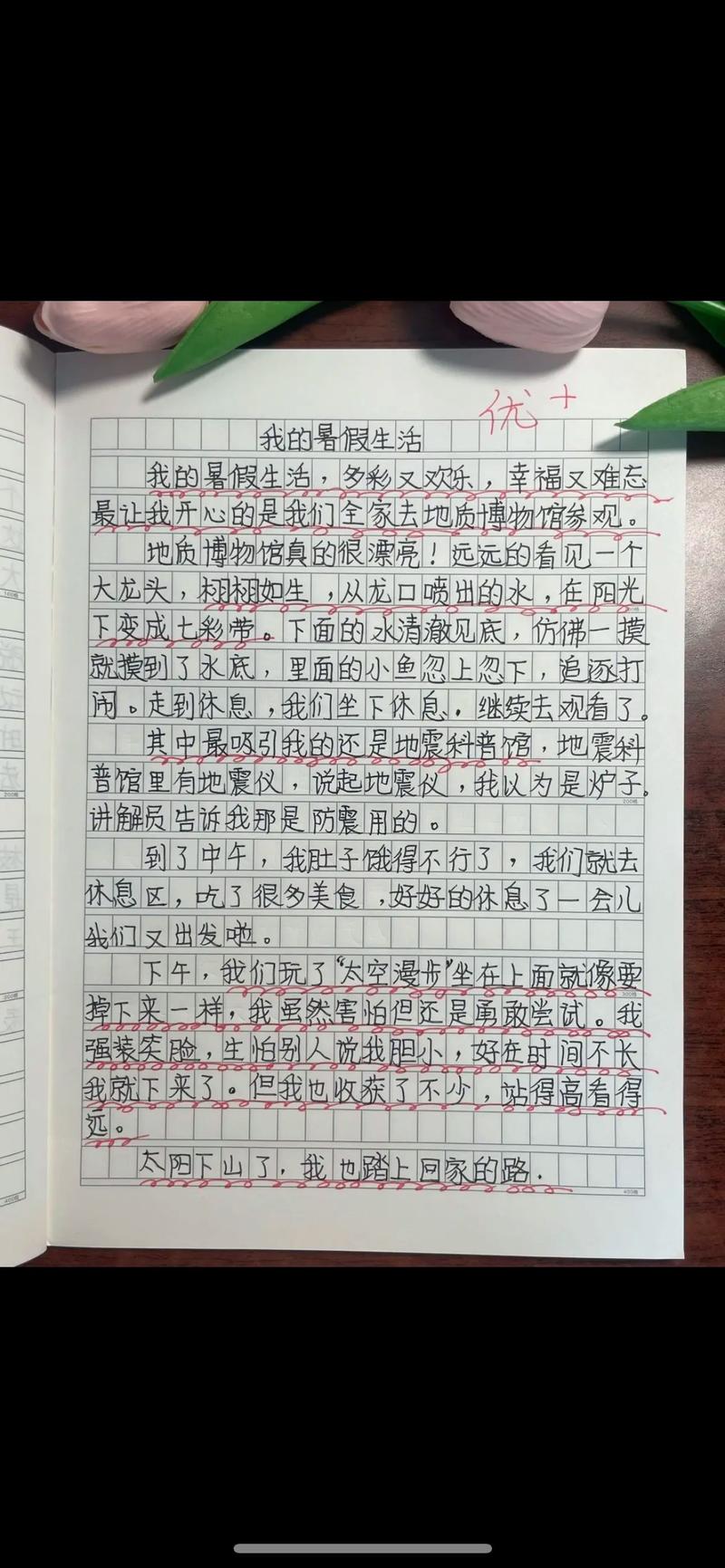 我的快乐暑假：乡村生活体验大分享