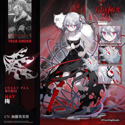 加藤的新生活游戏攻略：全剧情流程详解