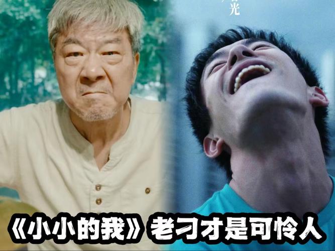 微小的我版本大全：不同版本功能大揭秘