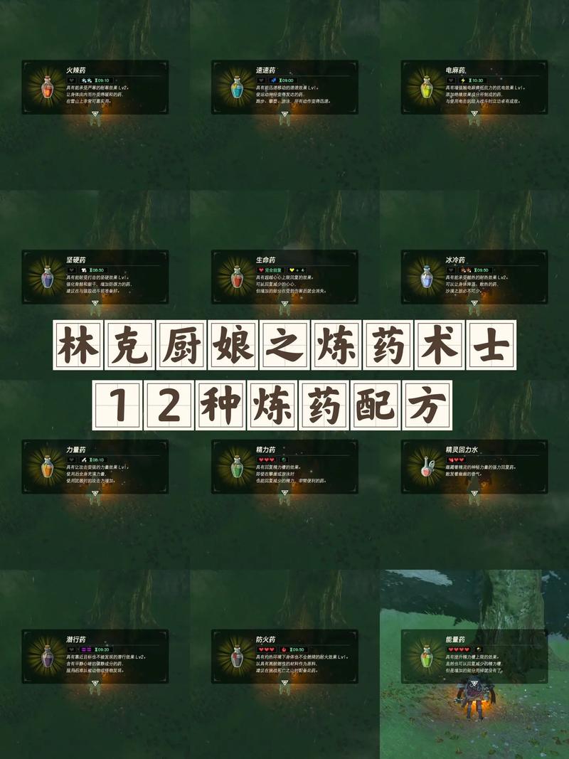 塞尔达精力药水怎么做?最全配方及材料收集技巧!