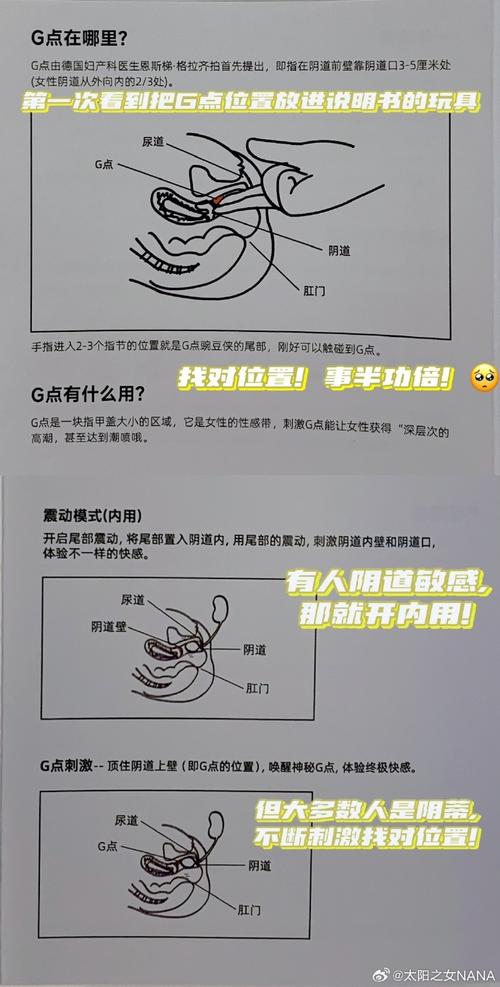 如何玩转害羞女孩的改造：绅士游戏新手指南