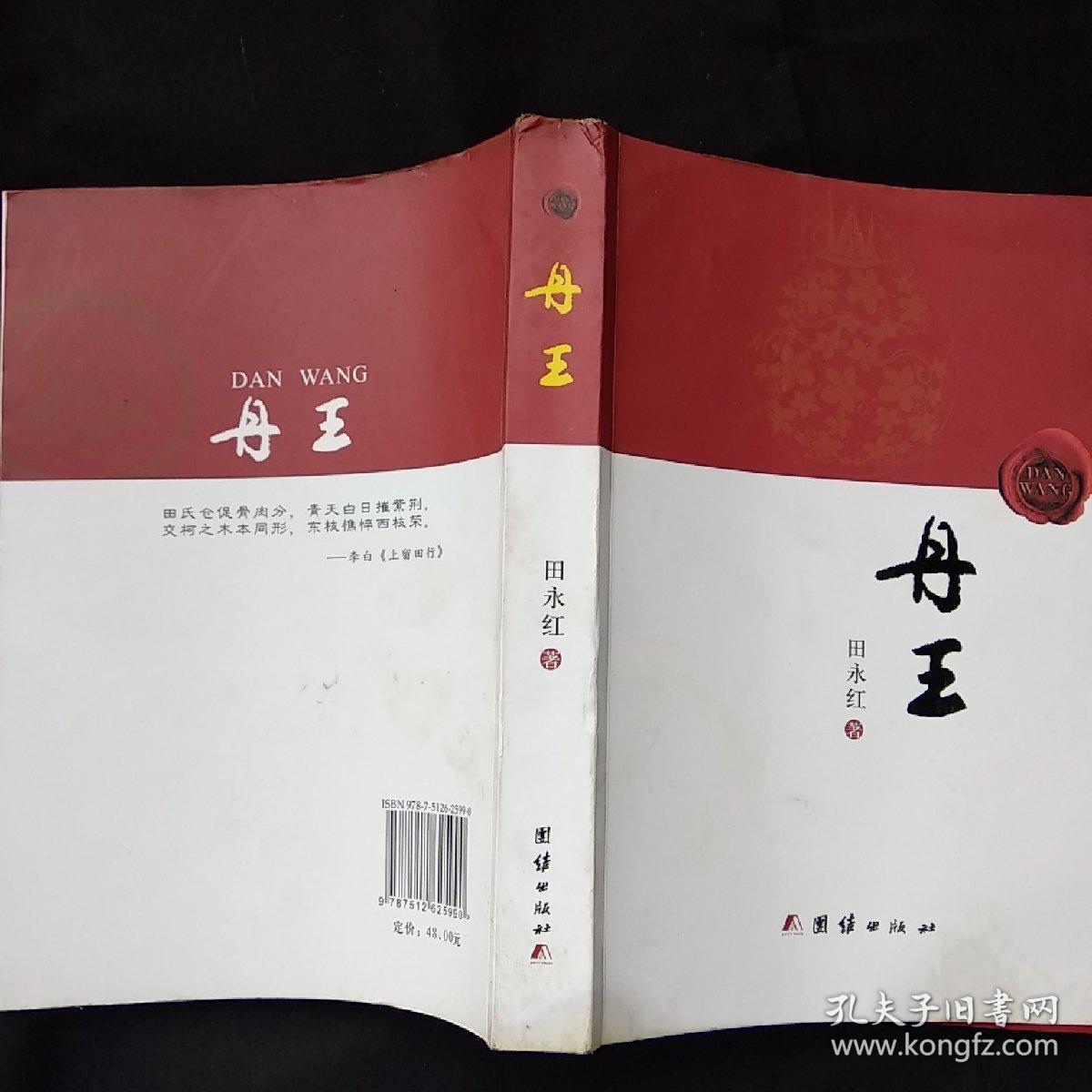 丹王V0.24版本大全:新手入门指南及技巧分享