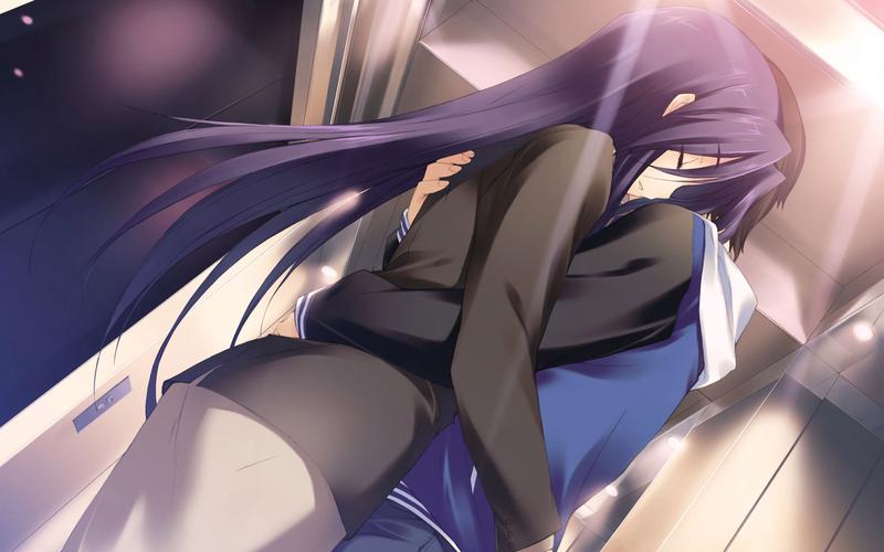 想玩白色相簿合集绅士游戏？这里有你想要的！