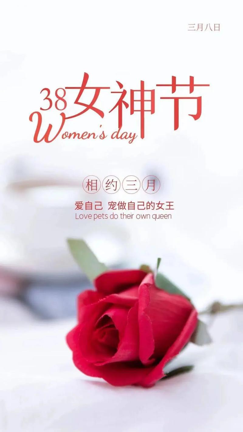 3月8日Jinricp韩国女团视频合集：完整版在线观看