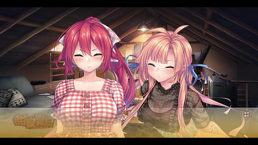 解锁甜蜜：夏日回忆游戏深度解析与玩家评价