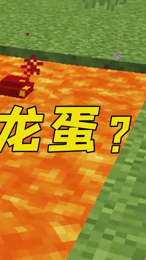 我的世界里龙蛋怎么孵化？附详细图文教程