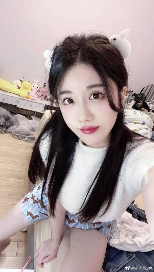 轩子巨二兔版本大全合集：超清资源免费下载