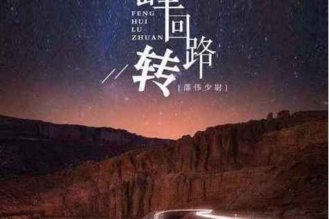 国内无法访问峰回路转论坛？教你如何下载汉化版