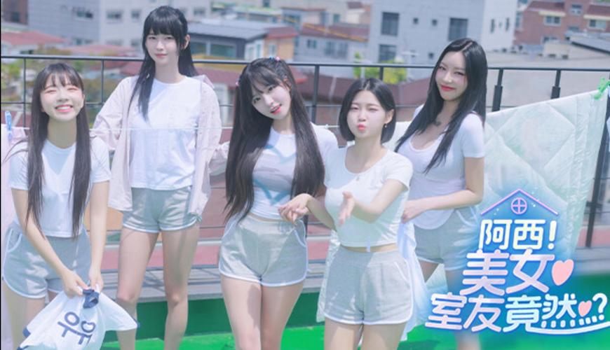 阿西美女室友绅士游戏下载，安卓和iOS都能玩！