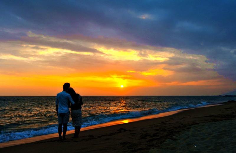 阳光湾恋人1-3合集完整版下载，火速上车！