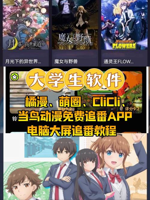 烂漫下载地址分享，多个版本任你选择！