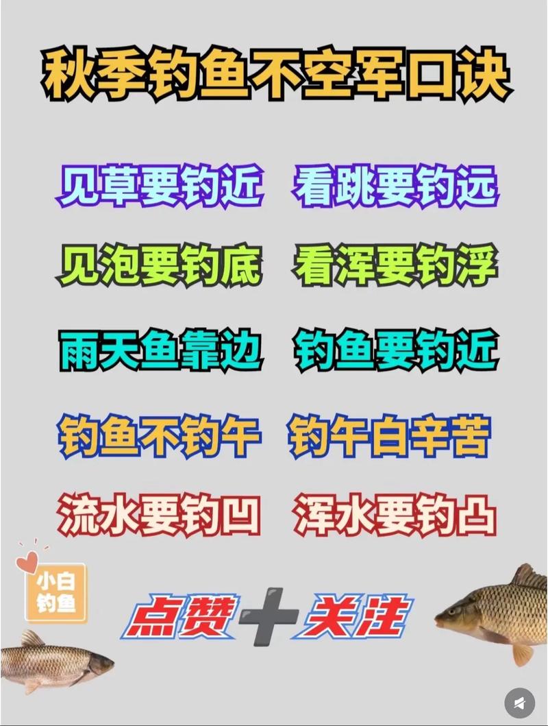 超实用钓鱼技巧全攻略,让你钓鱼不再空军!