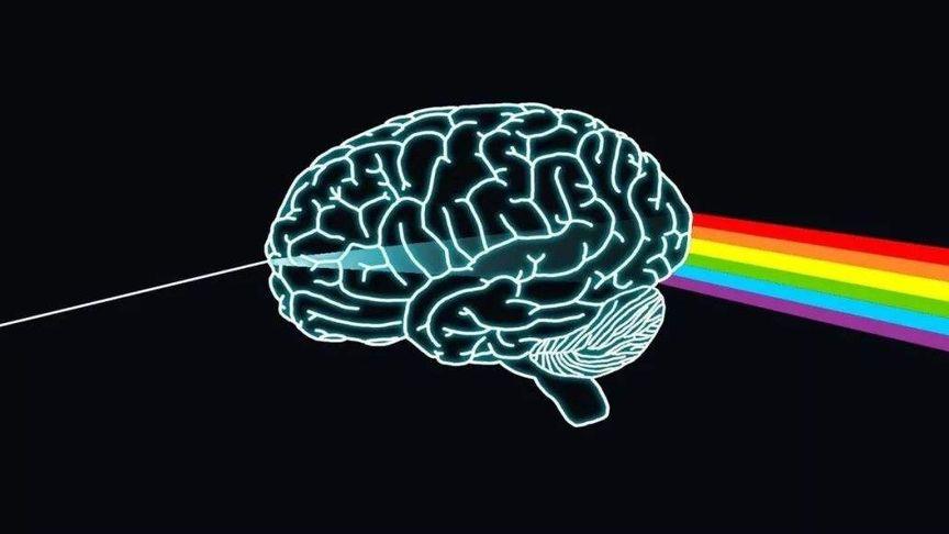 还在找扭曲的记忆?这里有靠谱的下载渠道!