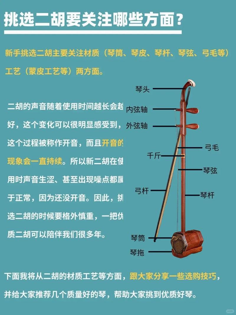 乐器二胡有几根弦？新手入门必看小知识！