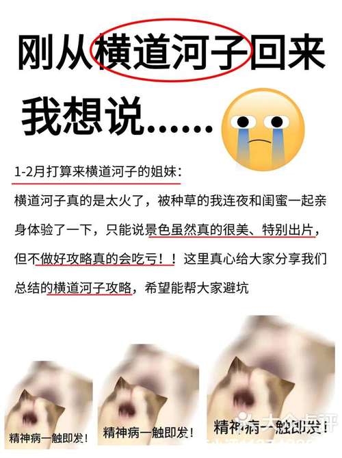 跳一跳辅助神器是真的吗?亲测帮你避坑不踩雷!