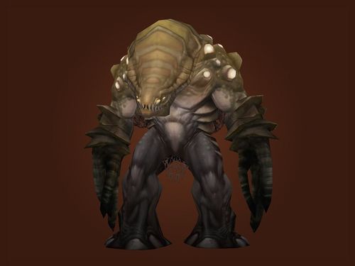 夸格米拉是什么？新手小白一看就懂的科普！