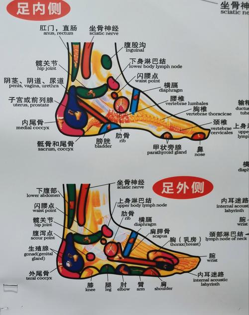 古式按摩店版本大全：哪家店的手法最正宗？