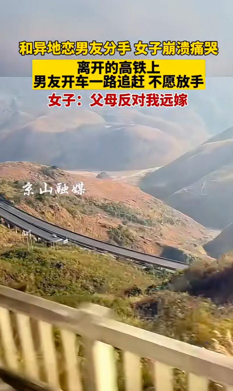 相亲攻略之宝贝别再选我了在哪下载？手把手教你快速找到！