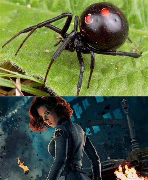 凯特游戏介绍哪家强?这份详细指南请收好!