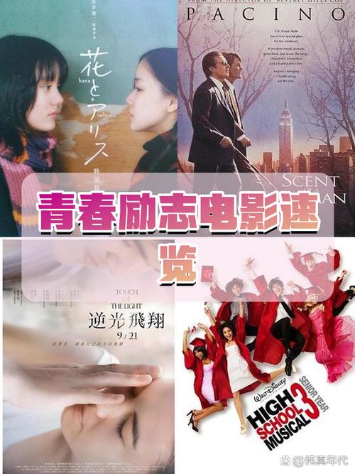 激情燃烧的岁月下载方法，这几个途径让你轻松追剧！