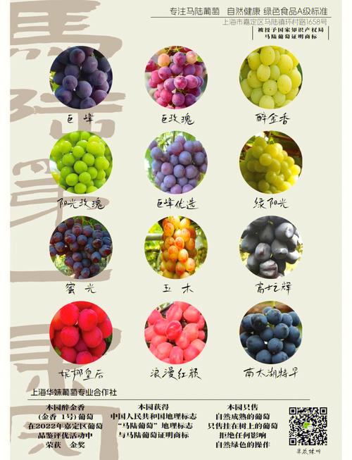 葡萄成熟时免费下载方法，简单几步就能搞定！