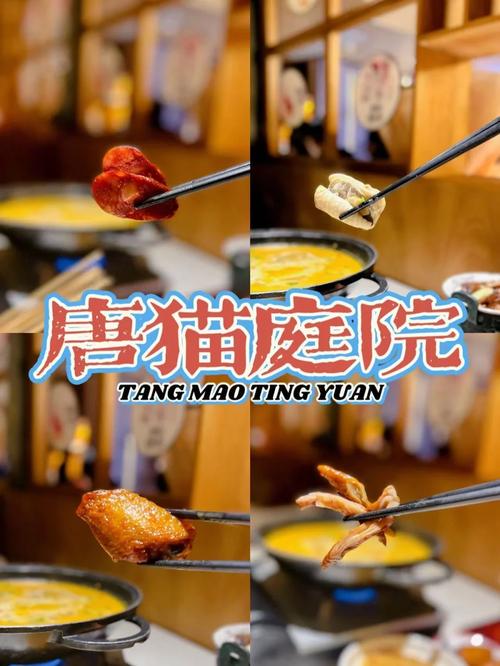 捡到千年猫下载地址来啦！手把手教你免费下载！