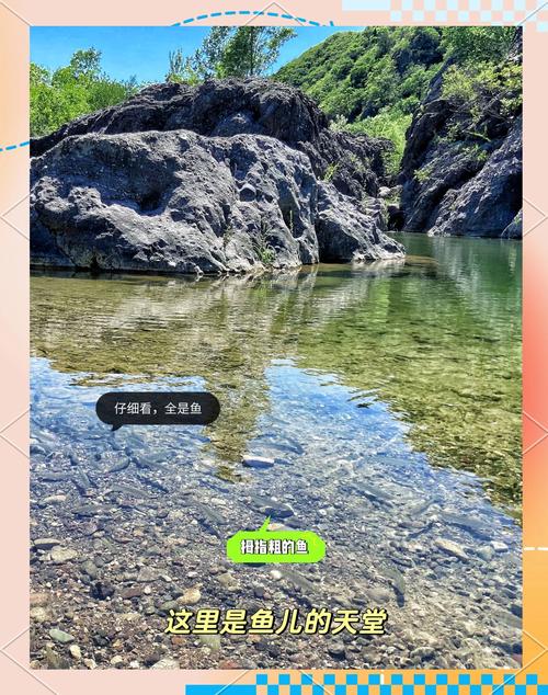 黑石山旅游必看，这份避坑指南让你少走弯路！