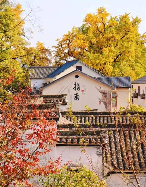 雾临村有什么?这些隐藏的宝藏景点别错过!