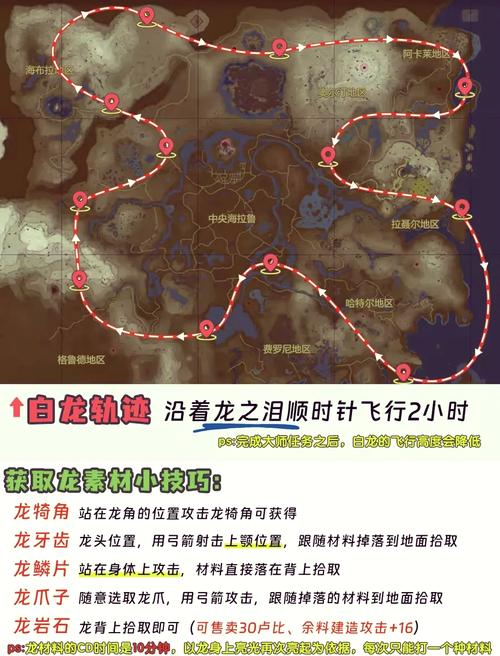 最新巨龙之魂副本入口指引,保姆级教程看这里!