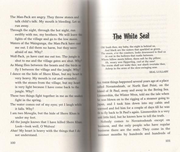 冒险金银岛怎么玩?老玩家分享高分通关秘籍!