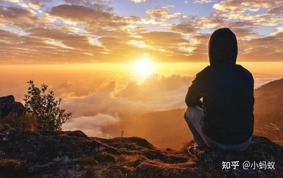 孤独的陌生人下载地址在哪?这个链接可以直接下!