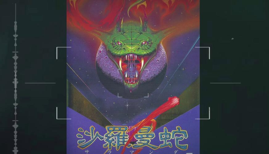 沙龙曼蛇吃什么食物？新手饲养沙龙曼蛇看这里！