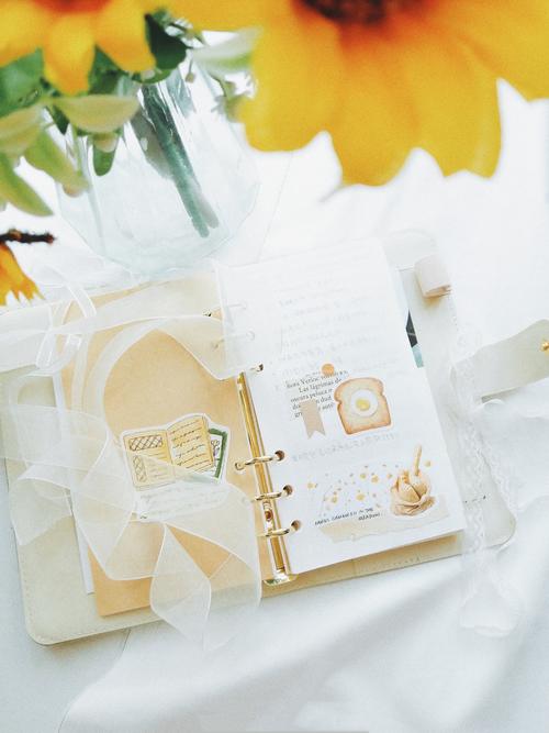 简单的日子如何下载？几个步骤轻松搞定安装！