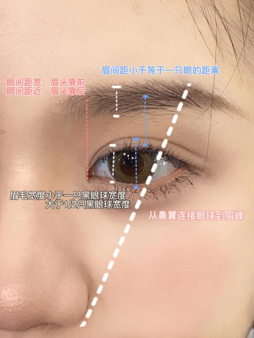 画眉之风怎么画好看?新手必看超简单画眉教程!