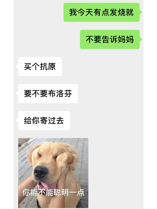 怡红院的主人怎么当？这款你弟弟超爱的游戏别错过！