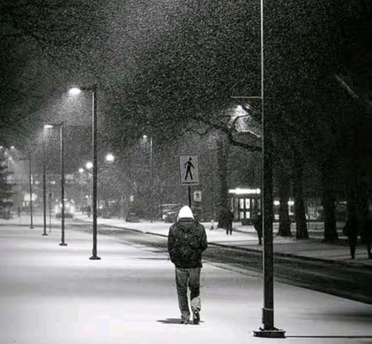 孤独的陌生人下载地址在哪?这个链接可以直接下!