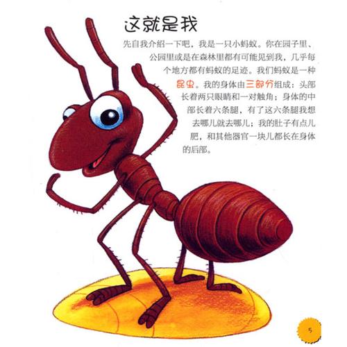 海牛骑手怎么来的？探索这种生物的奇妙故事！