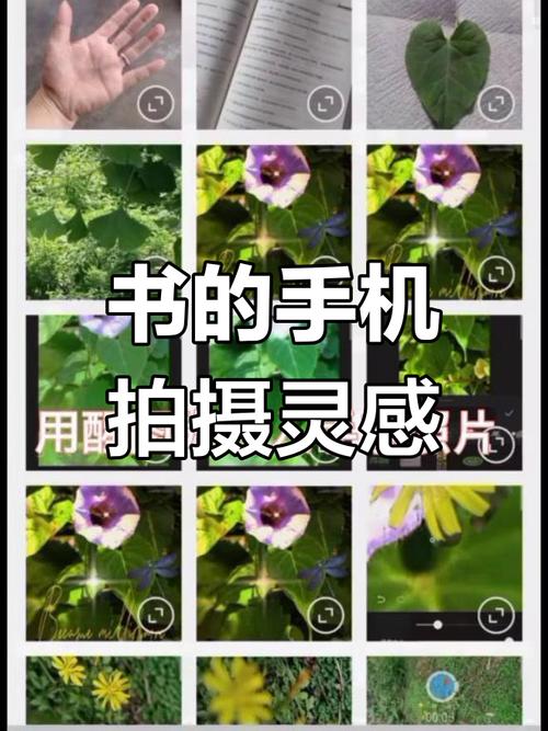 当书网手机客户端：掌上阅读新体验，随时随地看小说