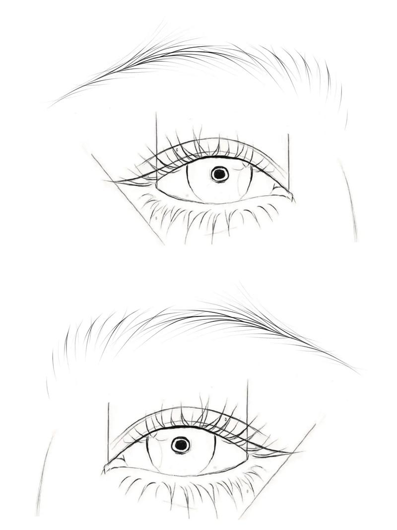 画眉之风怎么画好看?新手必看超简单画眉教程!