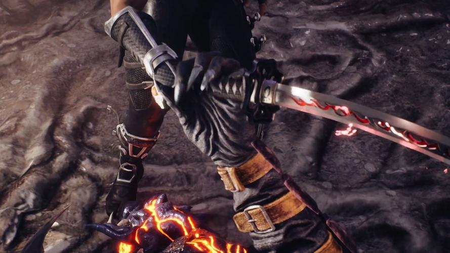 忍者龙剑传2攻略：超详细流程与隐藏要素收集！