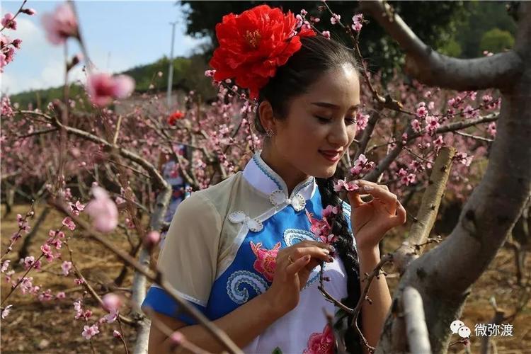 桃花视频免费观看直播下载，最新版安装教程！