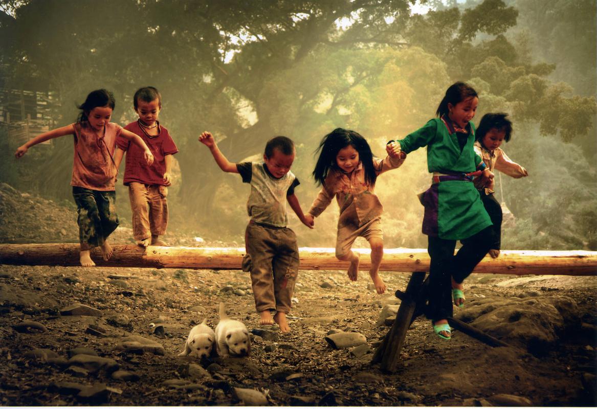 回味童年：阳光牧场小游戏带你重温快乐时光