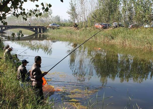 钓鱼1-375去哪里钓?这几个地点鱼多又好钓!