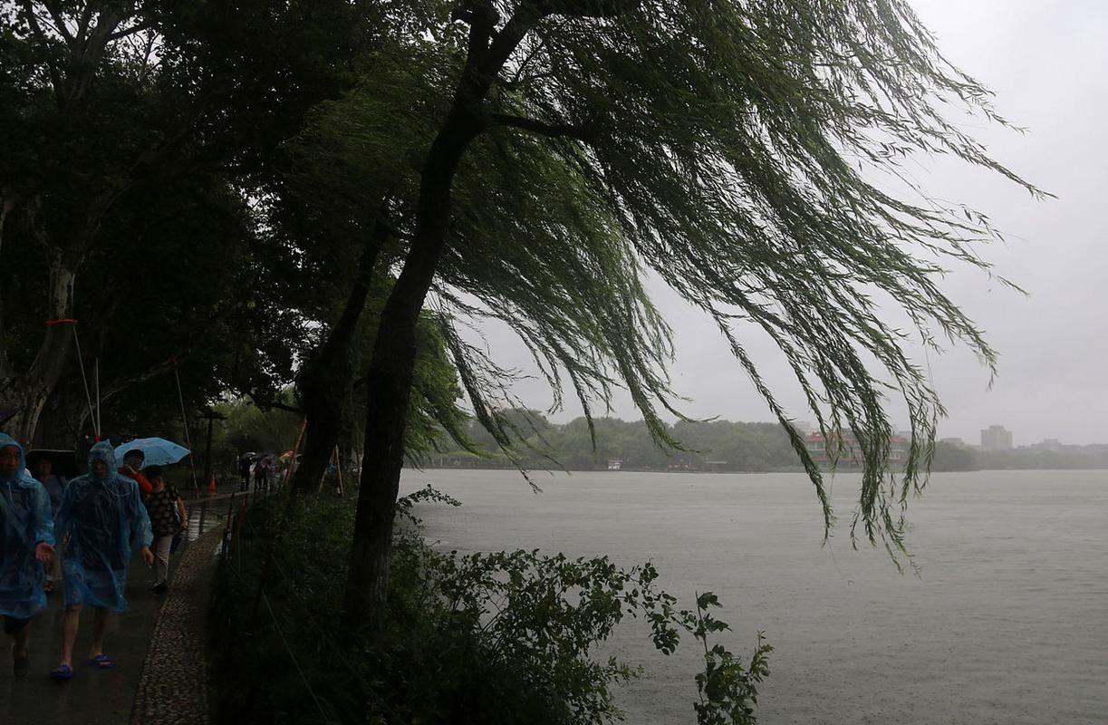 风吹来的消息:网络热议,你了解多少?