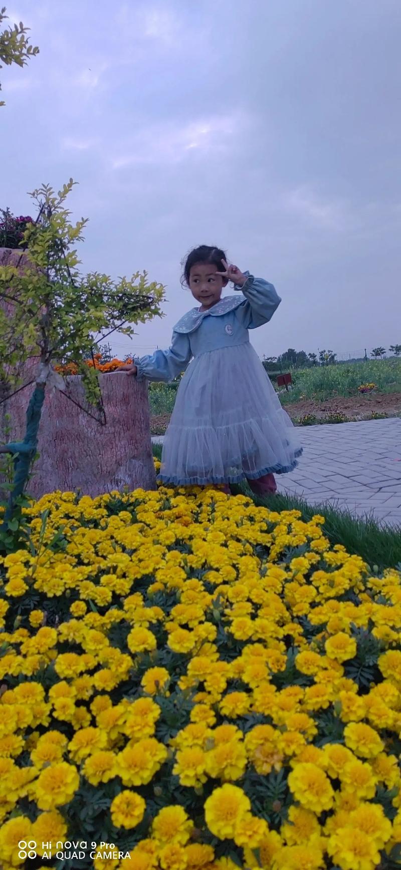 最新青青草原版本来了！快来体验草原牧场生活