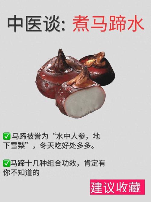 解开谜团：马蹄是马的哪个部位？图文详解